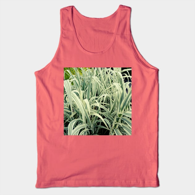 Tall Grass with White Stripes Photo Tank Top by EdenLiving